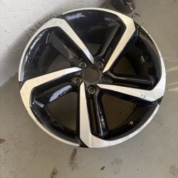 19 Inch Honda Accord Rim