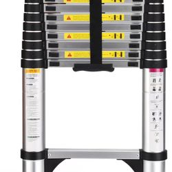 Telescoping Ladder