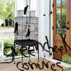Bird Cage 