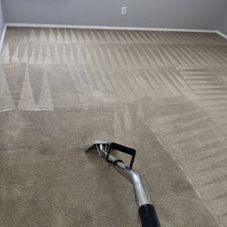Shampoo Carpet Cleaner 