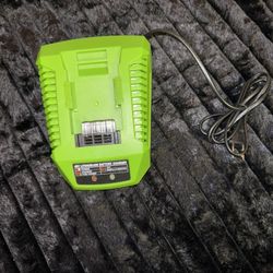 40 Volt Battery Charger Compatible with Greenworks 40V G MAX Battery 29(contact info removed)2 29(contact info removed) BAF704 Rapid Charger