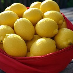 Fresh Homegrown Lemons! $5/Bag