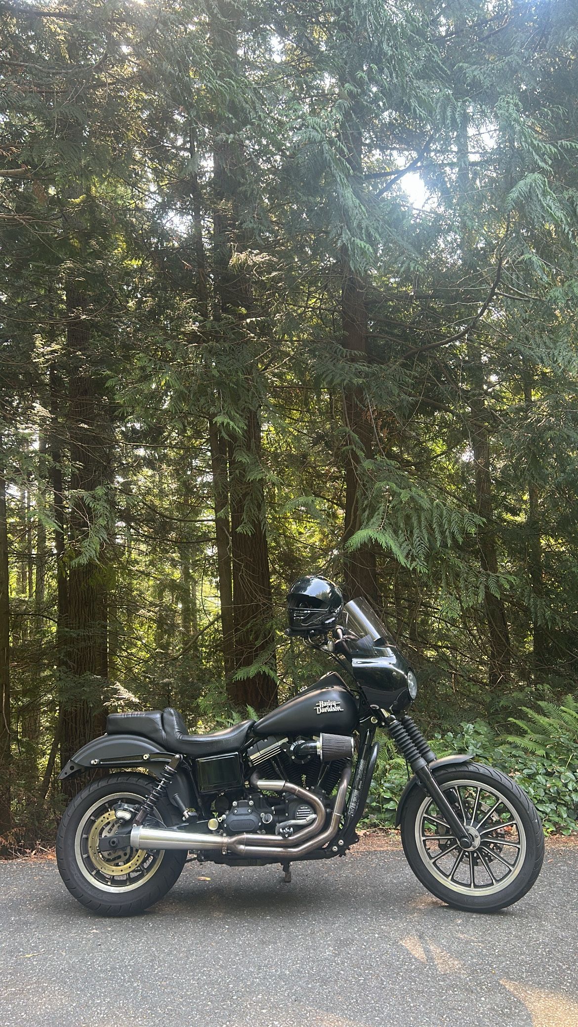 2017 Harley Davidson FXDB