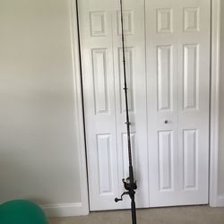 Handcrafted Star Rod W/NEW Diawa Reel (Combo)