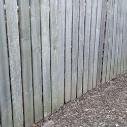 10 - 6' X 8' RECLAIMED PRIVACY FENCE PANELS $25 EACH!