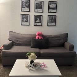 gray couch