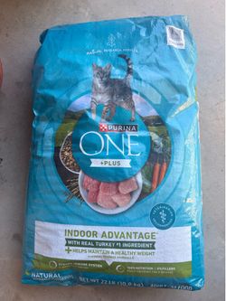 Cat food