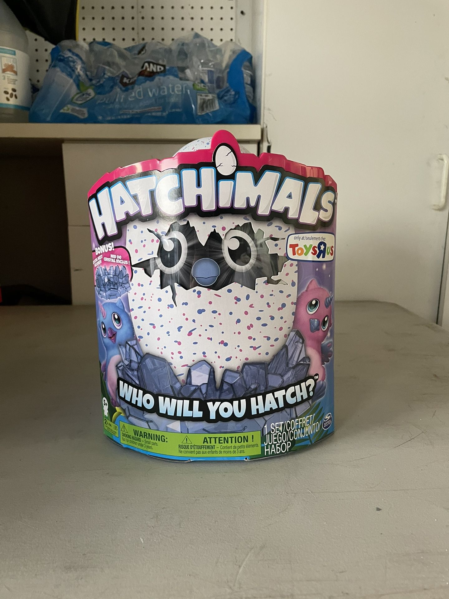 Hatchimals Owlicorn Toys R Us Exclusive Figure NEW!