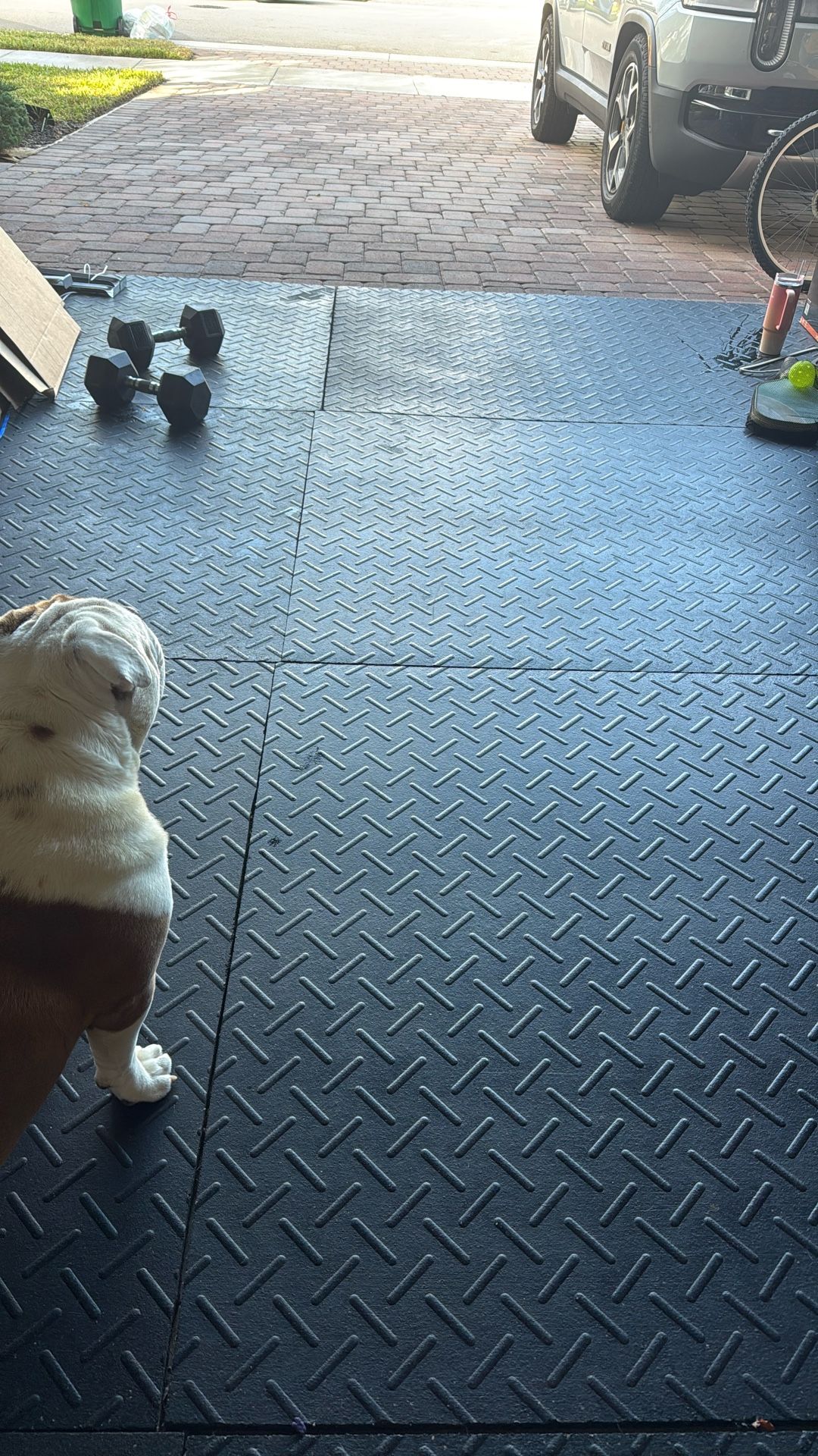 Gym Mats - Garage 6 In Total