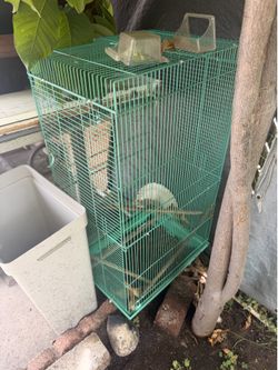Bird Cage