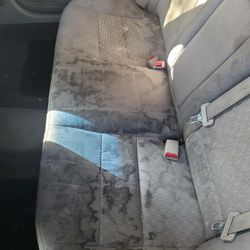 We clean carpets and wash and wax