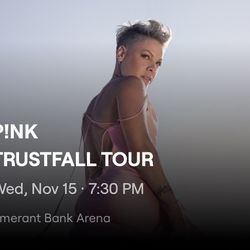 Pink Concert 11/15 at Sunrise