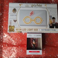 Harry Potter Neon LED Light Glasses 12" x 7" USB Powered NEW and Sealed