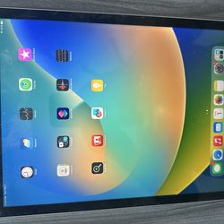 iPad Pro 1st generation 128gb