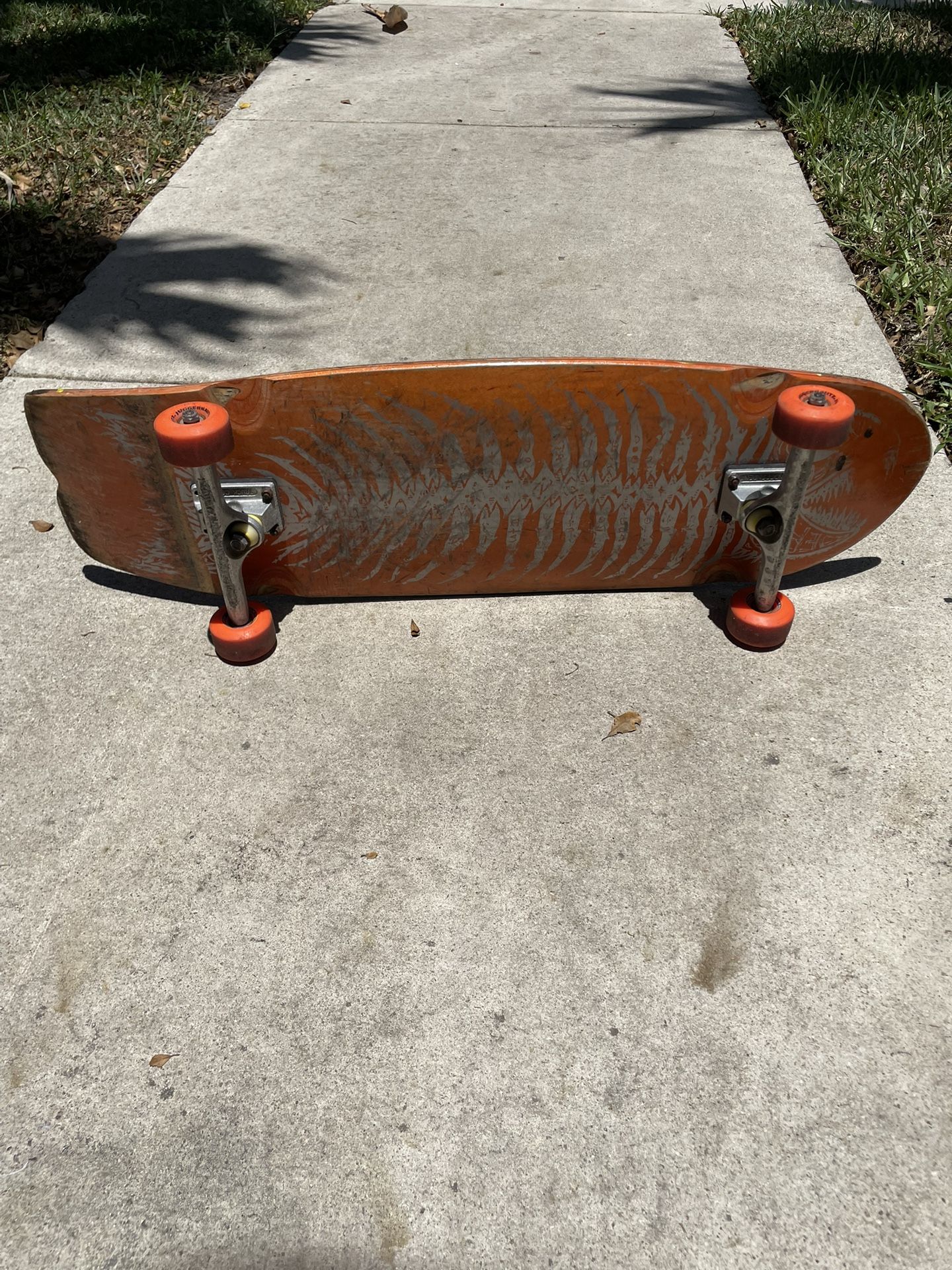 Skate Board.