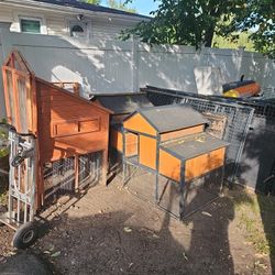3 CHICKEN CUB AND 3 METAL FANCES 8X8