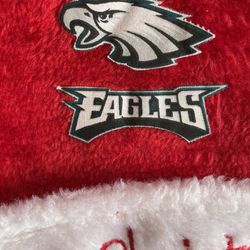NFL Philadelphia Eagles Santa Claus Hat. Homemade. New