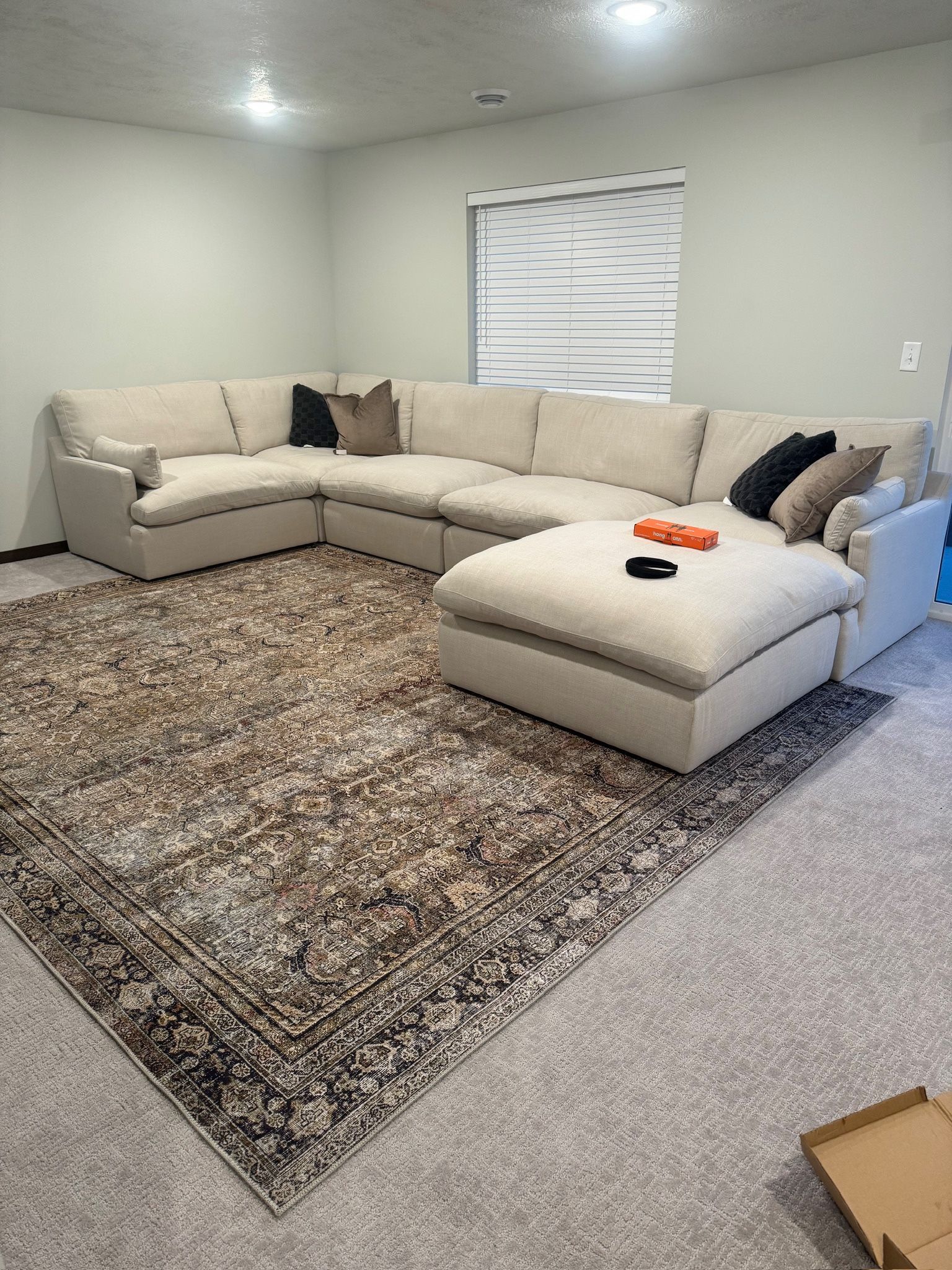 Loloii Area Rug 9x12