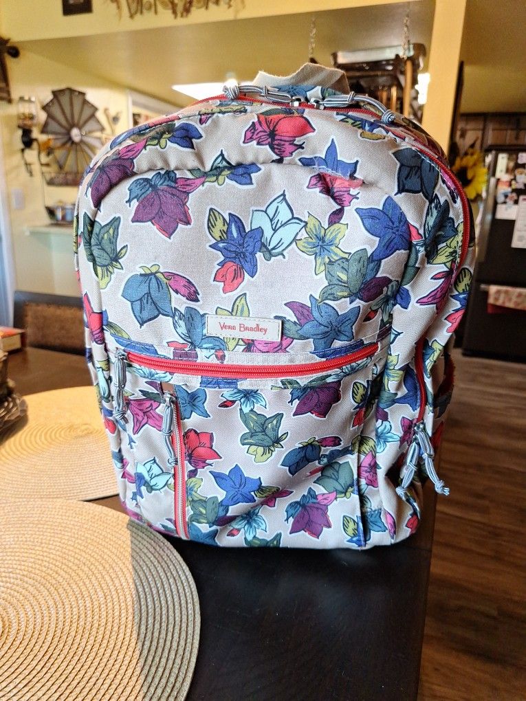Commuter Backpack/Rolling Laptop Carrier