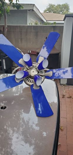 Ceiling fan