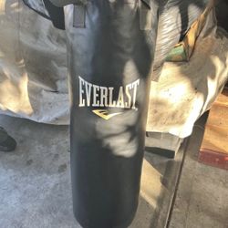 Everlast Punching Bag 
