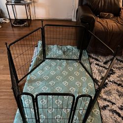 Dog Kennel 