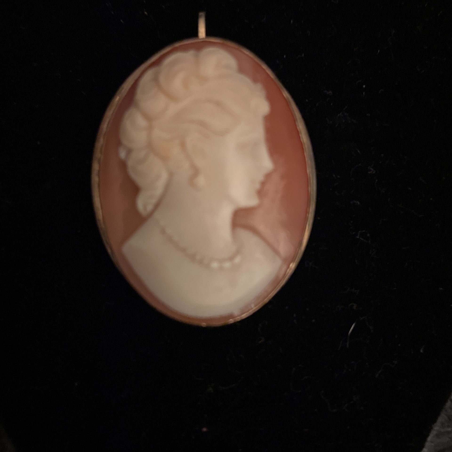 Van Dell 12 Kg Cameo Broach Or Pendant 