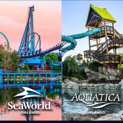 Seaworld Orlando!