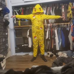 Pikachu Stuffed Animal Slave For About 6-7 Moneys