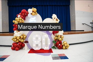 Giant Marque Numbers 8 & 0