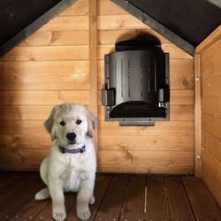 Dog House Heater