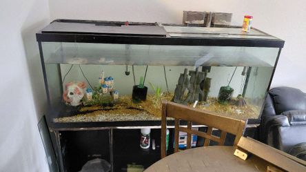 Table and tank 300 - negotiable need gone today