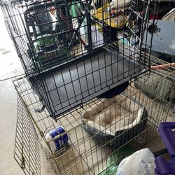 Dog Kennels 