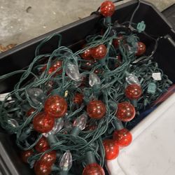 Red And White Christmas Lights , Working 