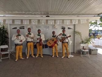 Botas de Mariachi
