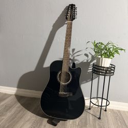 Takamine Guitar 