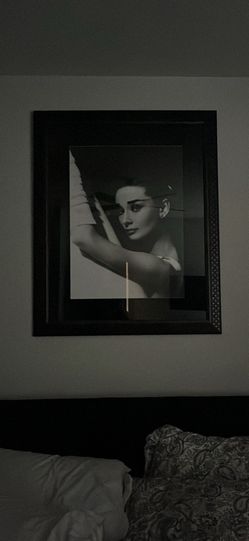 Bronze framed picture Audrey Hepburn