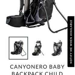 Hiking Child Carrier Backpack