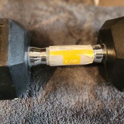 25 Pound Dumbbell Or Weight