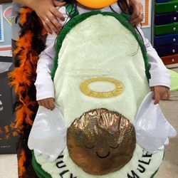 Holy Guacamole Childs Costume Ages 5-8