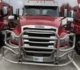 Freightliner Cattle Guard