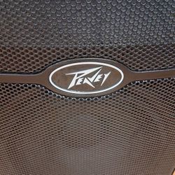 PEAVY Speaker /Monitor LOUD.