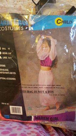 Harem girl costume