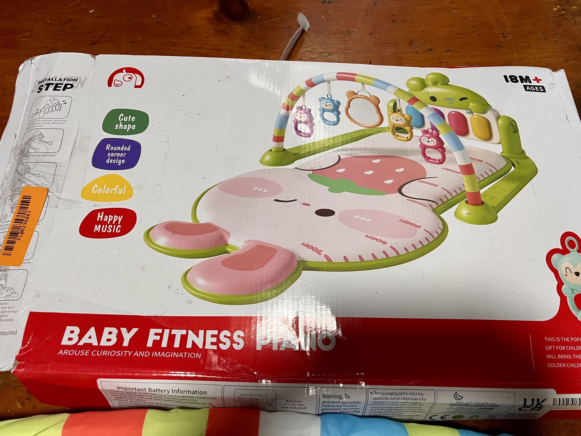 Baby Fitness Mat - 18 Month +