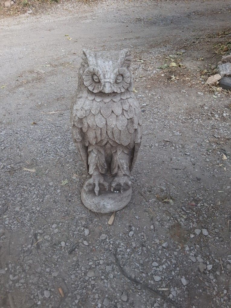 Owl