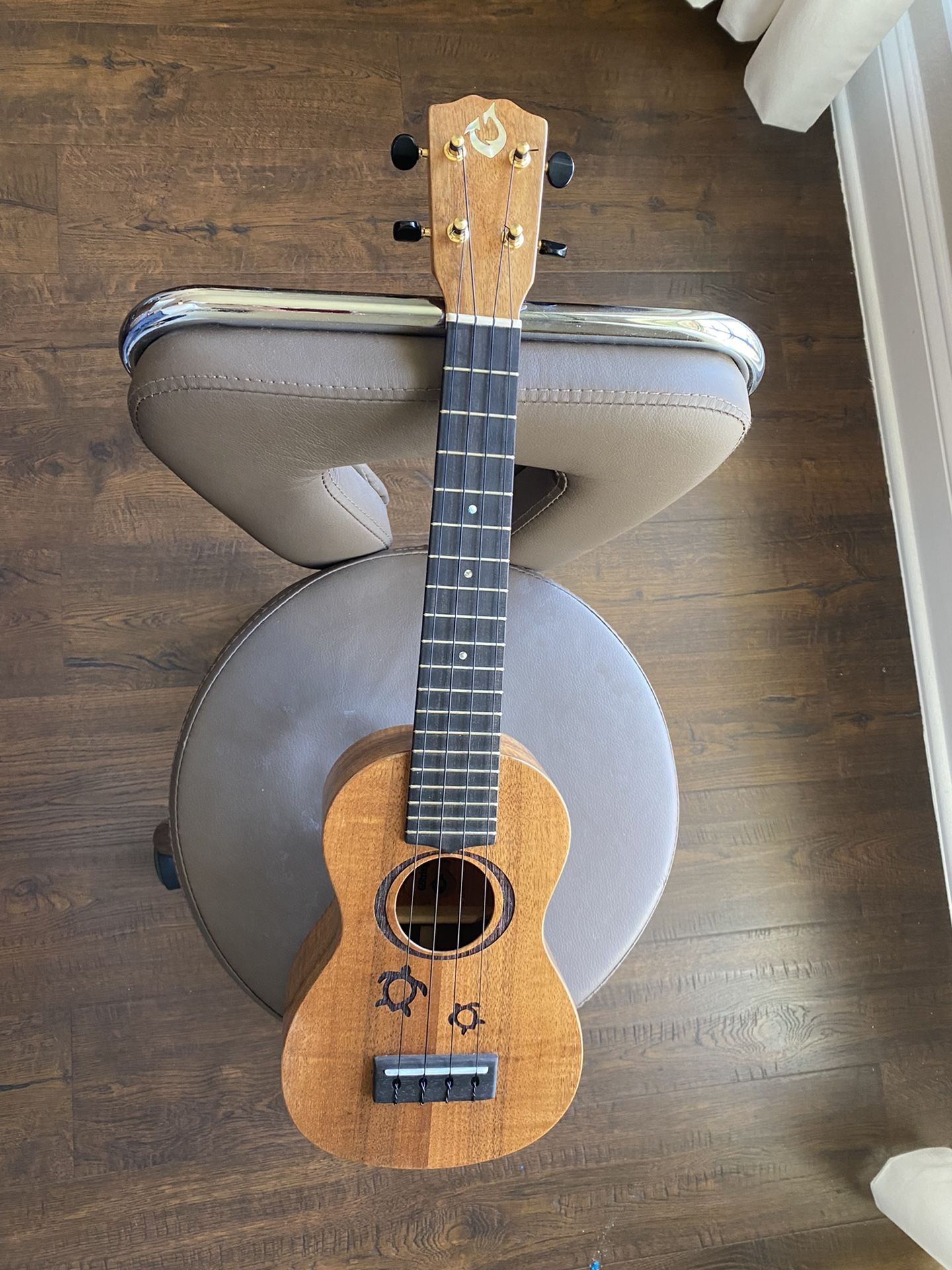 Hawaiian Guitar 