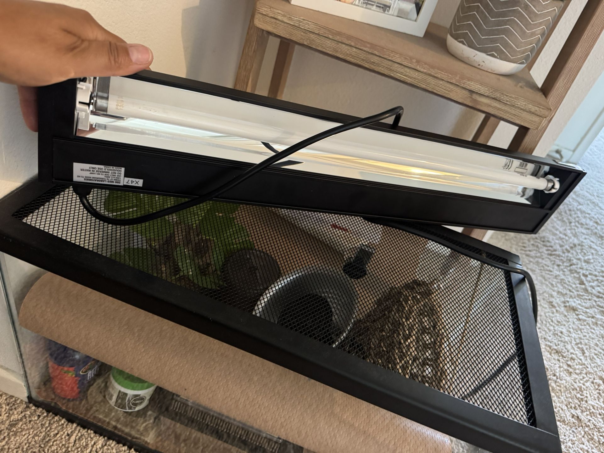 Bearded Dragon/Lizzard Habitat
