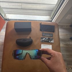 Oakley Oil Rig Polarized Glasses