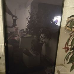 60 Inch LG Flat Screen TV. Chromecast Included. 