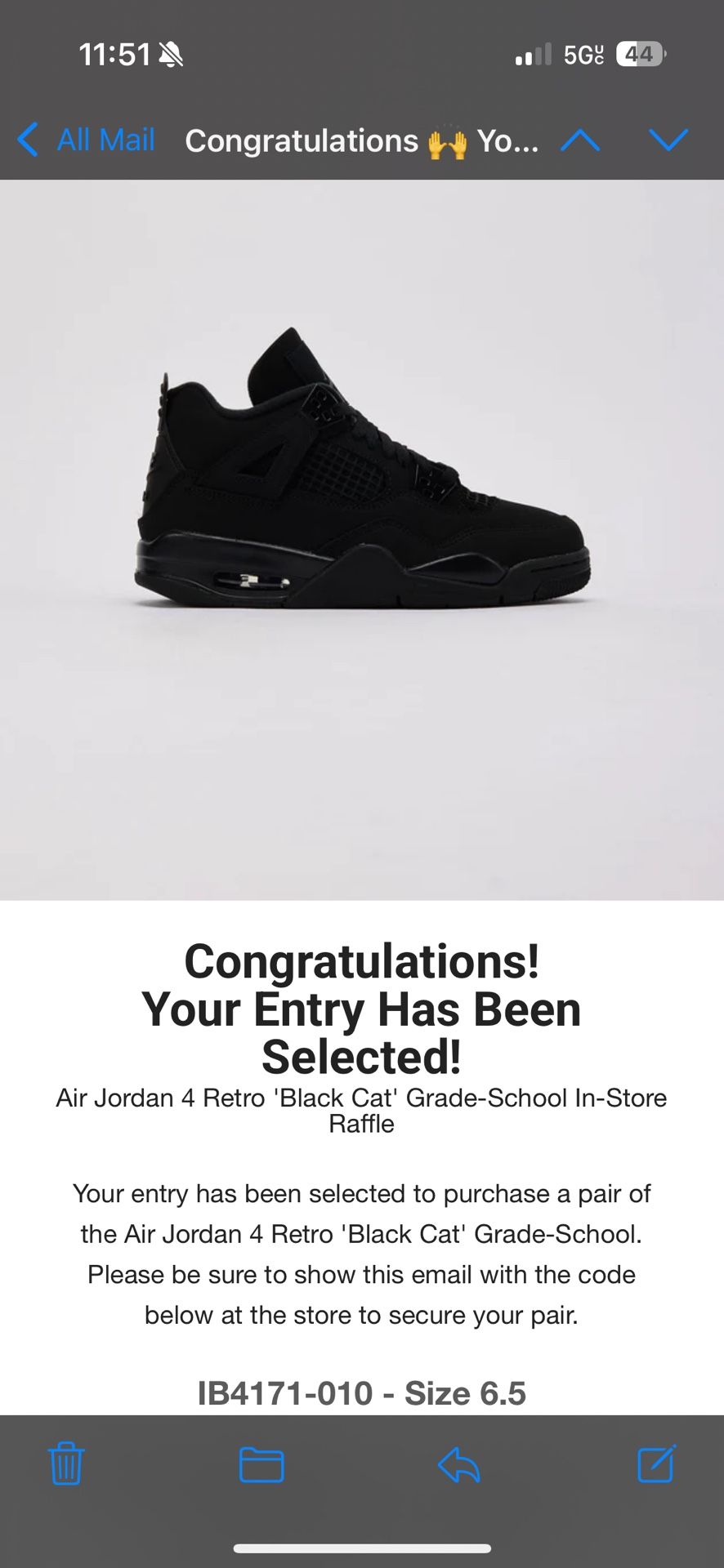 air jordan 4 black cat